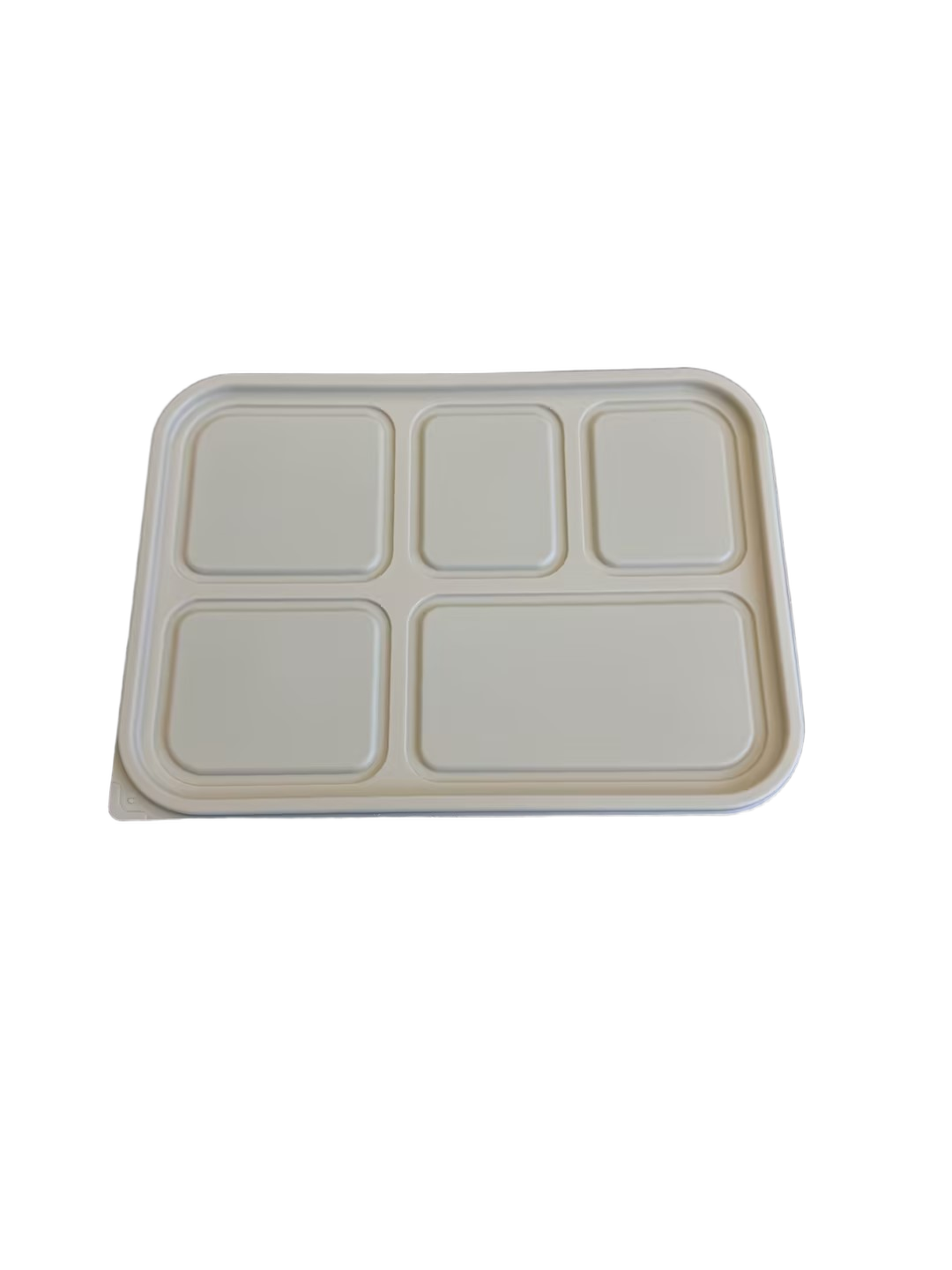 LIYI Disposable Lunch Box, 5-Compartment, 1000ml / 34oz, BPA-Free